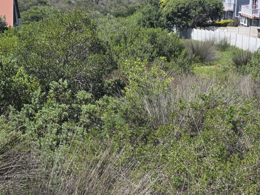 0 Bedroom Property for Sale in Dana Bay Western Cape